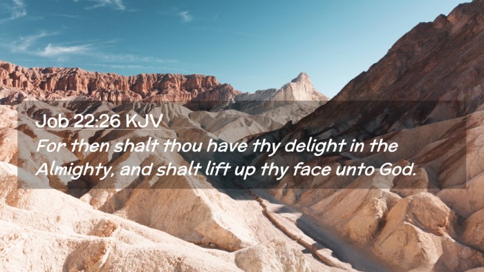Picture 02 - Job 22:26 KJV Desktop Wallpaper - For then shalt thou have thy delight in the - Desktop Bible Verse Wallpaper
