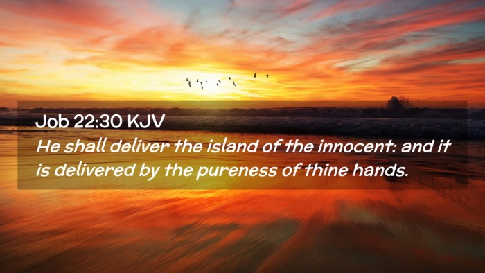 Picture 02 - Job 22:30 KJV Desktop Wallpaper - He shall deliver the island of the innocent: and - Desktop Bible Verse Wallpaper