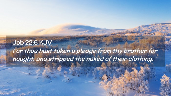 Picture 02 - Job 22:6 KJV Desktop Wallpaper - For thou hast taken a pledge from thy brother for - Desktop Bible Verse Wallpaper