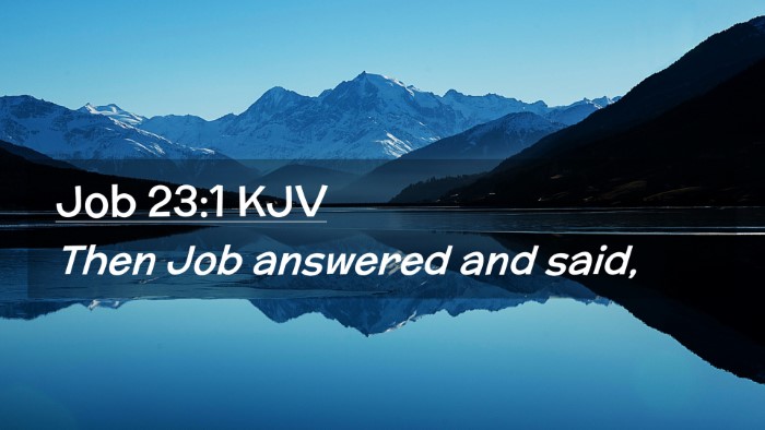 Picture 02 - Job 23:1 KJV Desktop Wallpaper - Then Job answered and - Desktop Bible Verse Wallpaper