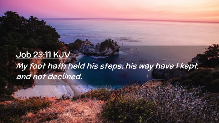 Picture 02 - Job 23:11 KJV Desktop Wallpaper - My foot hath held his steps, his way have I kept, - Desktop Bible Verse Wallpaper