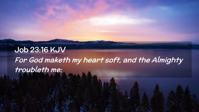 Picture 02 - Job 23:16 KJV Desktop Wallpaper - For God maketh my heart soft, and the Almighty - Desktop Bible Verse Wallpaper