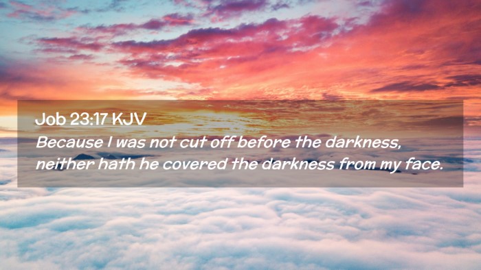 Picture 02 - Job 23:17 KJV Desktop Wallpaper - Because I was not cut off before the darkness, - Desktop Bible Verse Wallpaper