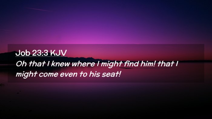 Picture 02 - Job 23:3 KJV Desktop Wallpaper - Oh that I knew where I might find him! that I - Desktop Bible Verse Wallpaper