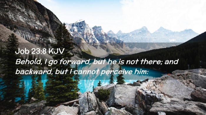 Picture 02 - Job 23:8 KJV Desktop Wallpaper - Behold, I go forward, but he is not there; and - Desktop Bible Verse Wallpaper