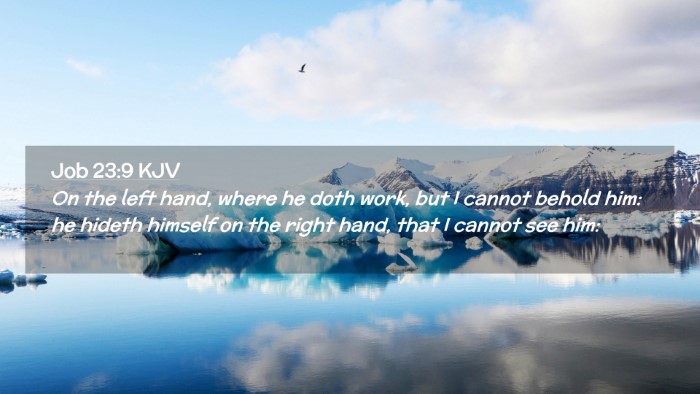 Picture 02 - Job 23:9 KJV Desktop Wallpaper - On the left hand, where he doth work, but I - Desktop Bible Verse Wallpaper