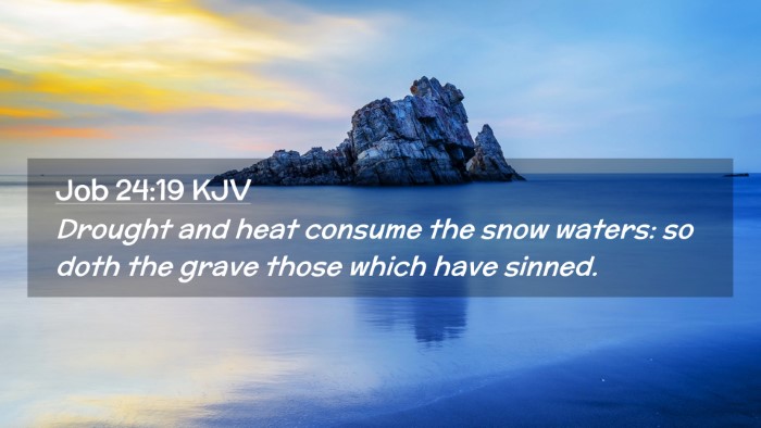 Picture 02 - Job 24:19 KJV Desktop Wallpaper - Drought and heat consume the snow waters: so doth - Desktop Bible Verse Wallpaper