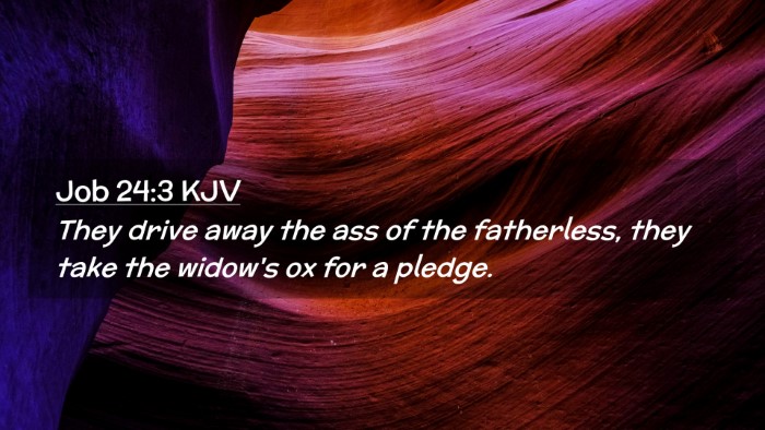 Picture 02 - Job 24:3 KJV Desktop Wallpaper - They drive away the ass of the fatherless, they - Desktop Bible Verse Wallpaper