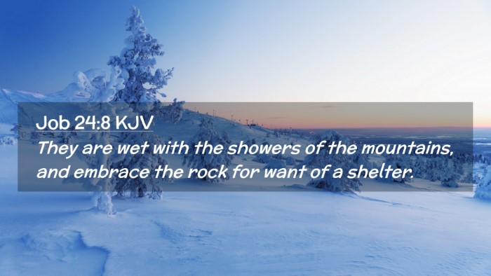 Picture 02 - Job 24:8 KJV Desktop Wallpaper - They are wet with the showers of the mountains, - Desktop Bible Verse Wallpaper