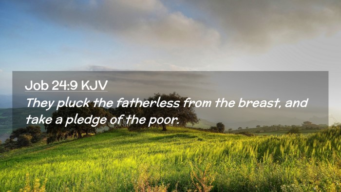 Picture 02 - Job 24:9 KJV Desktop Wallpaper - They pluck the fatherless from the breast, and - Desktop Bible Verse Wallpaper