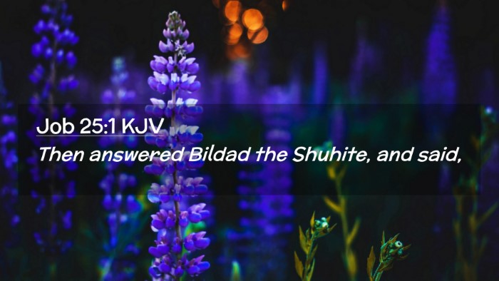 Picture 02 - Job 25:1 KJV Desktop Wallpaper - Then answered Bildad the Shuhite, and - Desktop Bible Verse Wallpaper