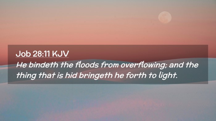 Picture 02 - Job 28:11 KJV Desktop Wallpaper - He bindeth the floods from overflowing; and the - Desktop Bible Verse Wallpaper