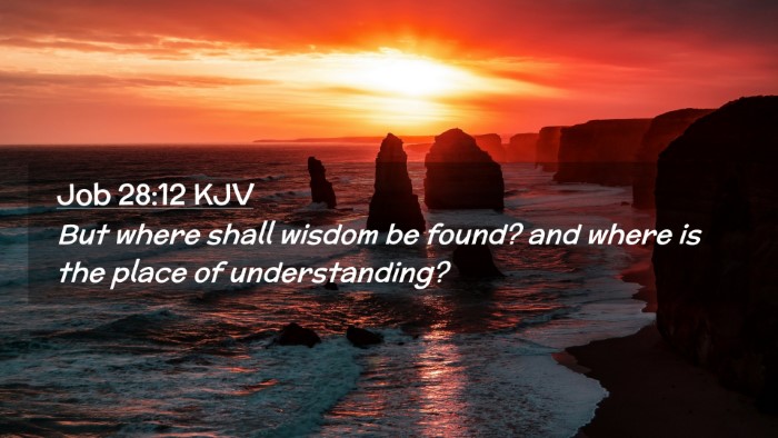 Picture 02 - Job 28:12 KJV Desktop Wallpaper - But where shall wisdom be found? and where is the - Desktop Bible Verse Wallpaper