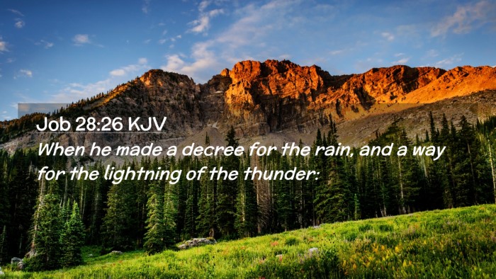 Picture 02 - Job 28:26 KJV Desktop Wallpaper - When he made a decree for the rain, and a way for - Desktop Bible Verse Wallpaper