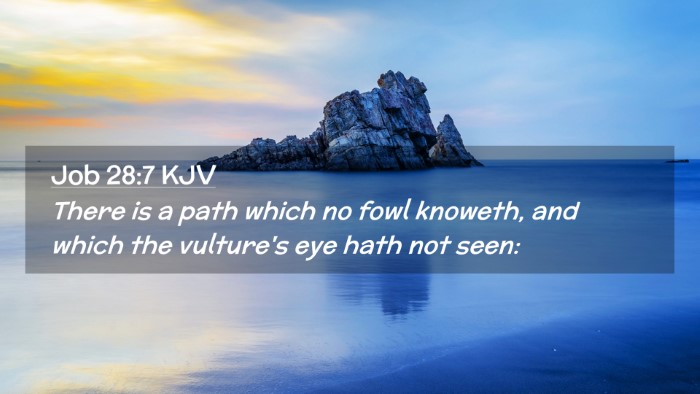 Picture 02 - Job 28:7 KJV Desktop Wallpaper - There is a path which no fowl knoweth, and which - Desktop Bible Verse Wallpaper