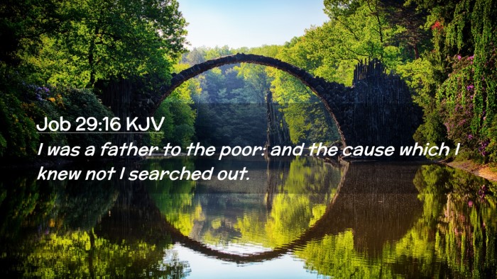Picture 02 - Job 29:16 KJV Desktop Wallpaper - I was a father to the poor: and the cause which I - Desktop Bible Verse Wallpaper