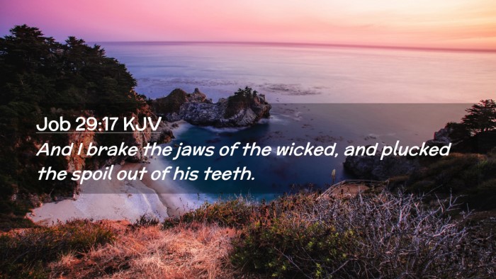 Picture 02 - Job 29:17 KJV Desktop Wallpaper - And I brake the jaws of the wicked, and plucked - Desktop Bible Verse Wallpaper