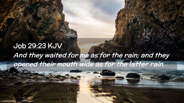 Picture 02 - Job 29:23 KJV Desktop Wallpaper - And they waited for me as for the rain; and they - Desktop Bible Verse Wallpaper