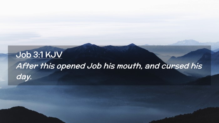 Picture 02 - Job 3:1 KJV Desktop Wallpaper - After this opened Job his mouth, and cursed his - Desktop Bible Verse Wallpaper