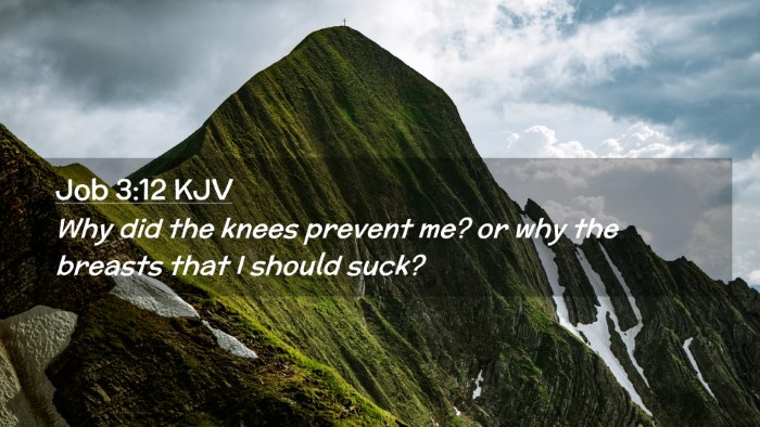 Picture 02 - Job 3:12 KJV Desktop Wallpaper - Why did the knees prevent me? or why the breasts - Desktop Bible Verse Wallpaper