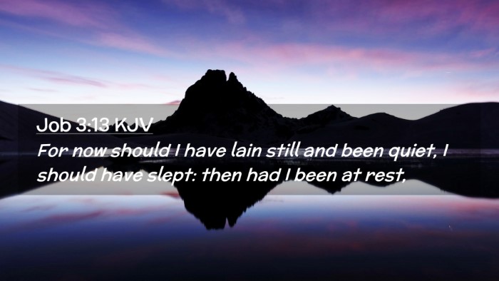 Picture 02 - Job 3:13 KJV Desktop Wallpaper - For now should I have lain still and been quiet, - Desktop Bible Verse Wallpaper