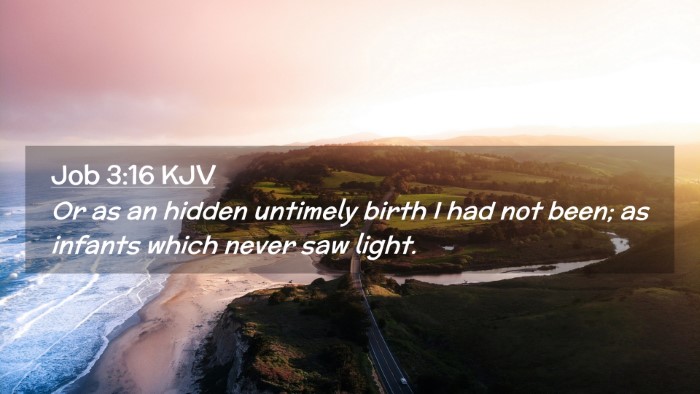 Picture 02 - Job 3:16 KJV Desktop Wallpaper - Or as an hidden untimely birth I had not been; as - Desktop Bible Verse Wallpaper