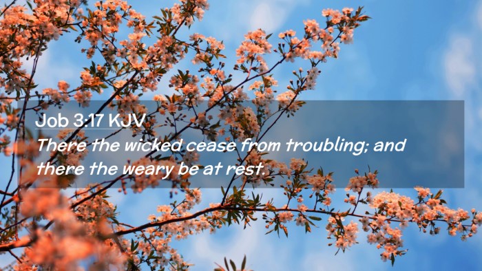Picture 02 - Job 3:17 KJV Desktop Wallpaper - There the wicked cease from troubling; and there - Desktop Bible Verse Wallpaper
