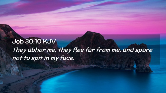 Picture 02 - Job 30:10 KJV Desktop Wallpaper - They abhor me, they flee far from me, and spare - Desktop Bible Verse Wallpaper