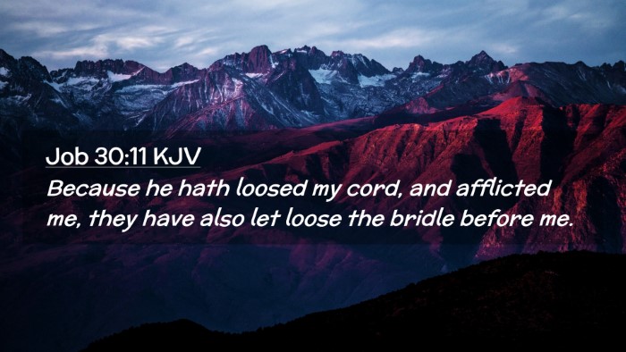 Picture 02 - Job 30:11 KJV Desktop Wallpaper - Because he hath loosed my cord, and afflicted me, - Desktop Bible Verse Wallpaper