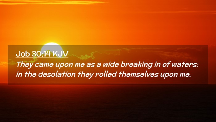 Picture 02 - Job 30:14 KJV Desktop Wallpaper - They came upon me as a wide breaking in of - Desktop Bible Verse Wallpaper