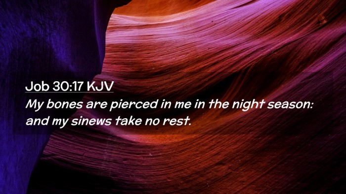 Picture 02 - Job 30:17 KJV Desktop Wallpaper - My bones are pierced in me in the night season: - Desktop Bible Verse Wallpaper