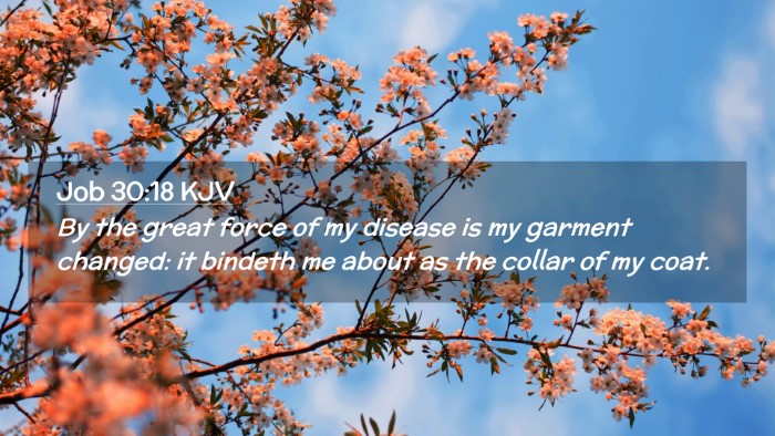 Picture 02 - Job 30:18 KJV Desktop Wallpaper - By the great force of my disease is my garment - Desktop Bible Verse Wallpaper