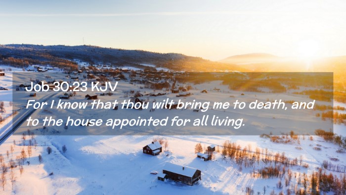 Picture 02 - Job 30:23 KJV Desktop Wallpaper - For I know that thou wilt bring me to death, and - Desktop Bible Verse Wallpaper