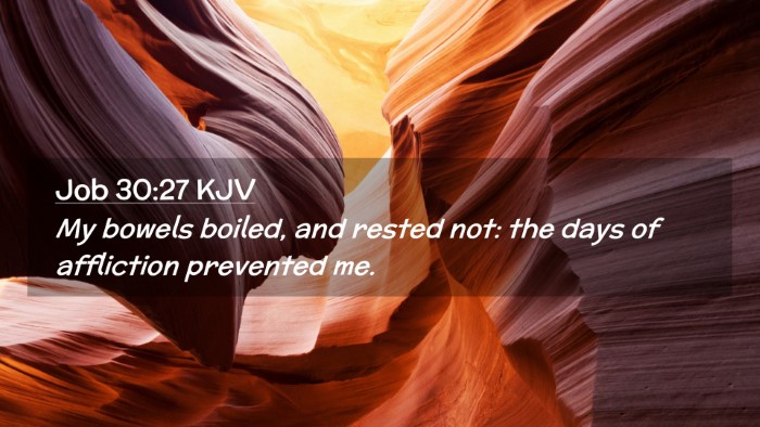Picture 02 - Job 30:27 KJV Desktop Wallpaper - My bowels boiled, and rested not: the days of - Desktop Bible Verse Wallpaper