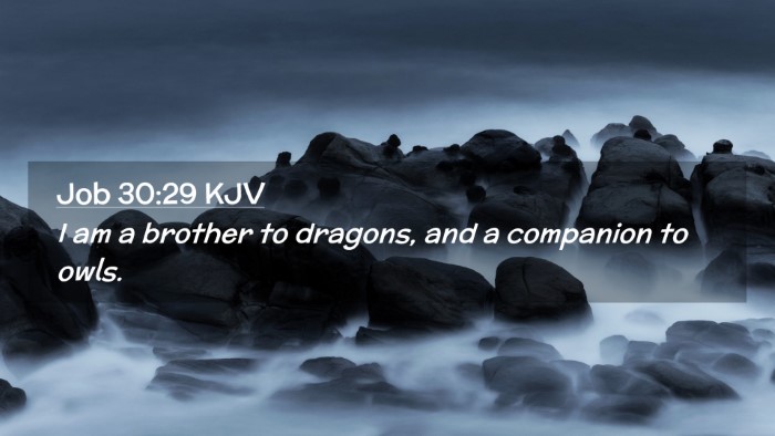 Picture 02 - Job 30:29 KJV Desktop Wallpaper - I am a brother to dragons, and a companion to - Desktop Bible Verse Wallpaper