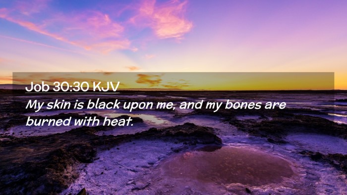 Picture 02 - Job 30:30 KJV Desktop Wallpaper - My skin is black upon me, and my bones are burned - Desktop Bible Verse Wallpaper