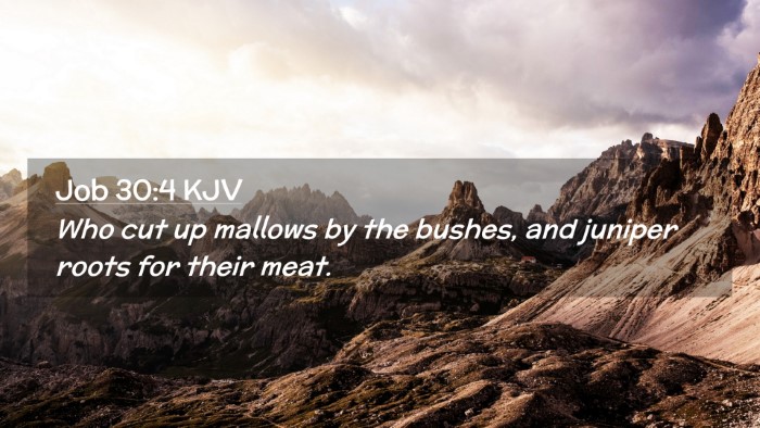 Picture 02 - Job 30:4 KJV Desktop Wallpaper - Who cut up mallows by the bushes, and juniper - Desktop Bible Verse Wallpaper