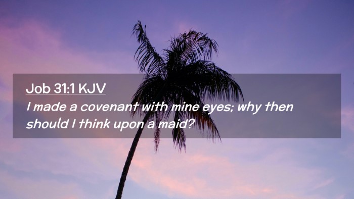 Picture 02 - Job 31:1 KJV Desktop Wallpaper - I made a covenant with mine eyes; why then should - Desktop Bible Verse Wallpaper