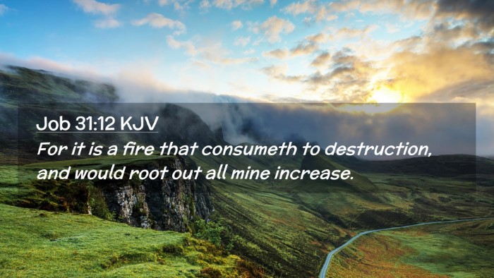 Picture 02 - Job 31:12 KJV Desktop Wallpaper - For it is a fire that consumeth to destruction, - Desktop Bible Verse Wallpaper