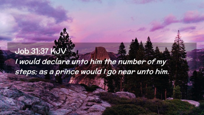 Picture 02 - Job 31:37 KJV Desktop Wallpaper - I would declare unto him the number of my steps; - Desktop Bible Verse Wallpaper