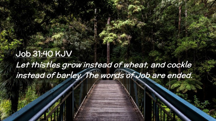 Picture 02 - Job 31:40 KJV Desktop Wallpaper - Let thistles grow instead of wheat, and cockle - Desktop Bible Verse Wallpaper