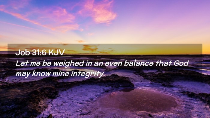 Picture 02 - Job 31:6 KJV Desktop Wallpaper - Let me be weighed in an even balance that God may - Desktop Bible Verse Wallpaper