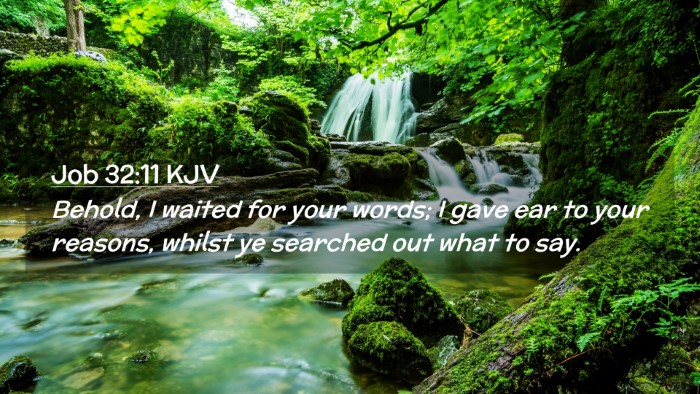 Picture 02 - Job 32:11 KJV Desktop Wallpaper - Behold, I waited for your words; I gave ear to - Desktop Bible Verse Wallpaper