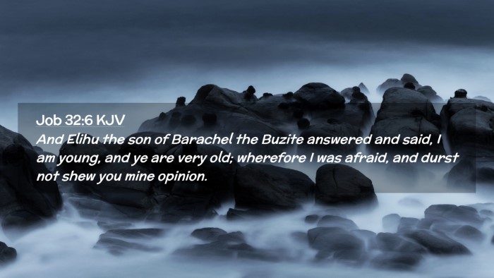 Picture 02 - Job 32:6 KJV Desktop Wallpaper - And Elihu the son of Barachel the Buzite answered - Desktop Bible Verse Wallpaper