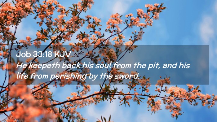 Picture 02 - Job 33:18 KJV Desktop Wallpaper - He keepeth back his soul from the pit, and his - Desktop Bible Verse Wallpaper