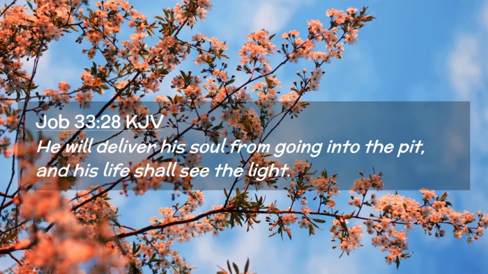 Picture 02 - Job 33:28 KJV Desktop Wallpaper - He will deliver his soul from going into the pit, - Desktop Bible Verse Wallpaper