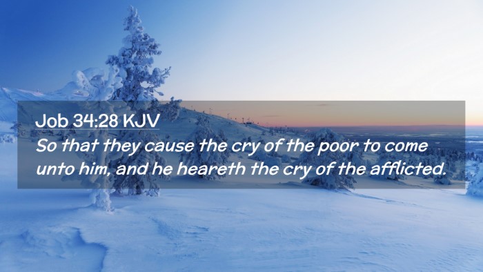 Picture 02 - Job 34:28 KJV Desktop Wallpaper - So that they cause the cry of the poor to come - Desktop Bible Verse Wallpaper