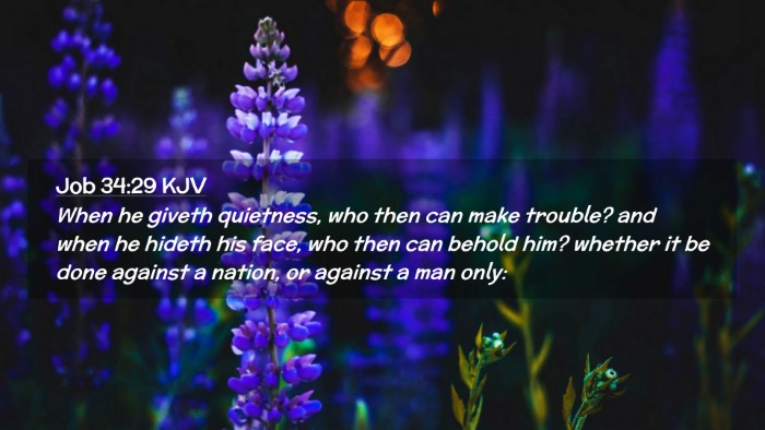 Picture 02 - Job 34:29 KJV Desktop Wallpaper - When he giveth quietness, who then can make - Desktop Bible Verse Wallpaper