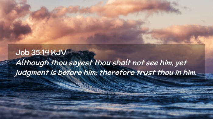 Picture 02 - Job 35:14 KJV Desktop Wallpaper - Although thou sayest thou shalt not see him, yet - Desktop Bible Verse Wallpaper