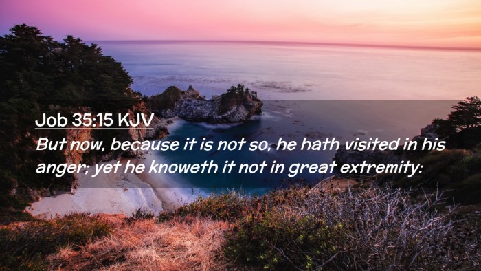 Picture 02 - Job 35:15 KJV Desktop Wallpaper - But now, because it is not so, he hath visited in - Desktop Bible Verse Wallpaper